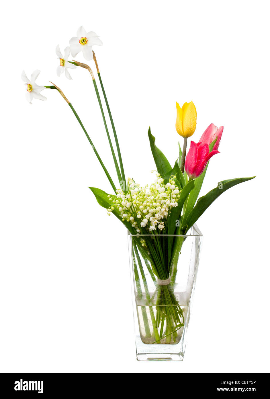 I tulipani narcisi e lily isolato su bianco Foto Stock