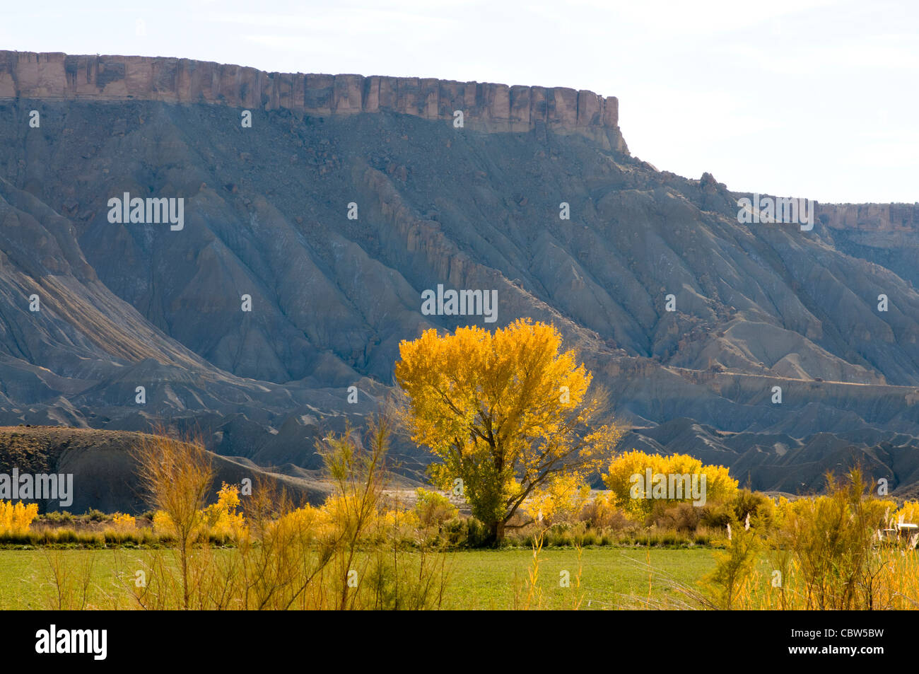 I colori dell'autunno Capital Reef National Park nello Utah Foto Stock