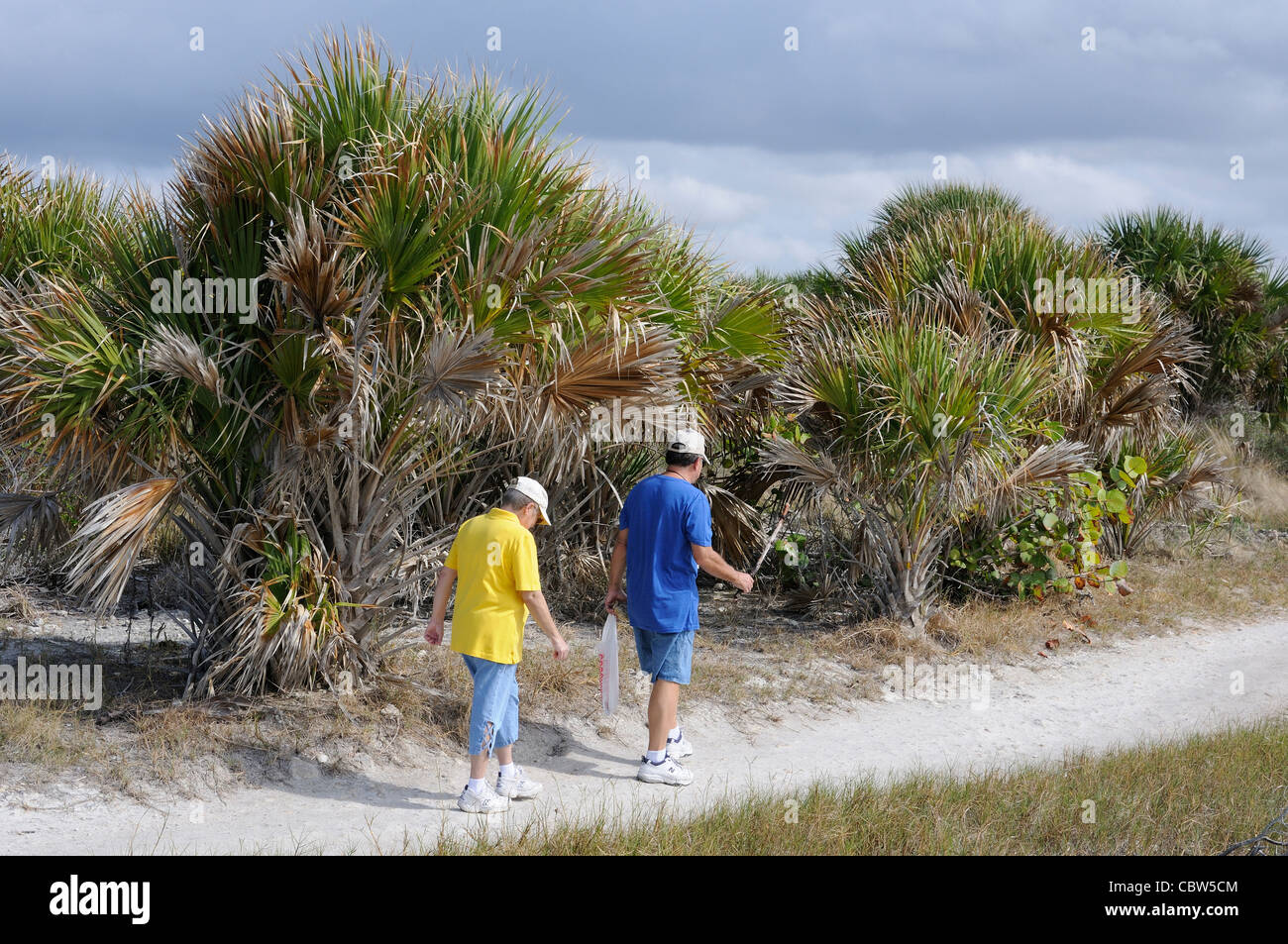 Honeymoon Island State Park sulla costa del Golfo della Florida USA giovane a piedi attraverso il preservare Foto Stock