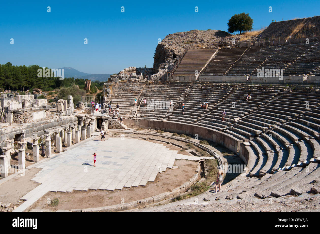 Grand Theatre - Anfiteatro di Efeso - Antica città vicino a Selcuk Turchia. Foto Stock