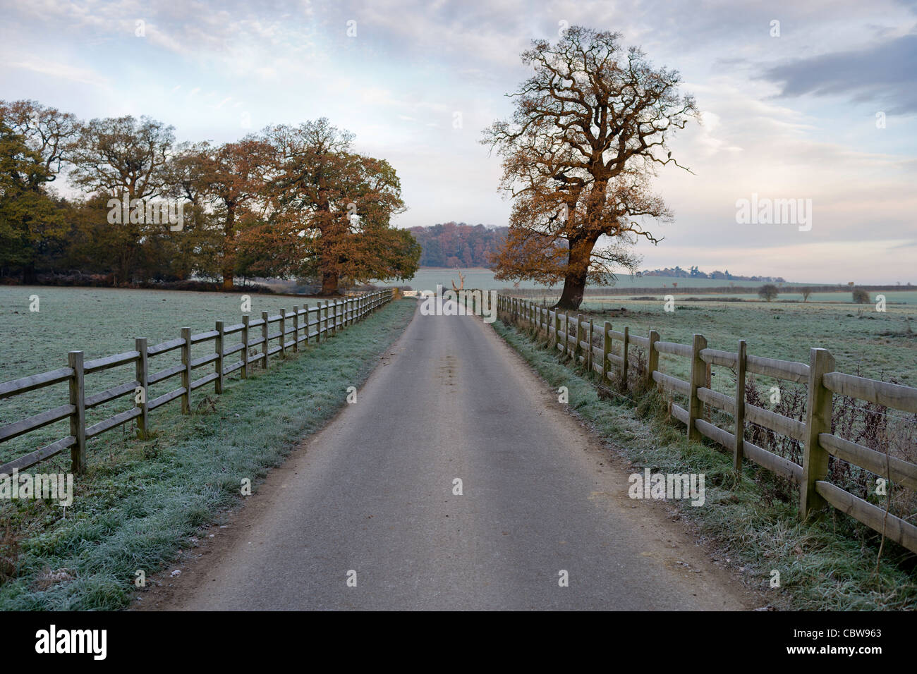 Una piccola strada che conduce alla Fattoria fiamminga su Windsor Great Park. Bella Luce autunnale su un croccante di congelamento mattina impostare la scena. Foto Stock