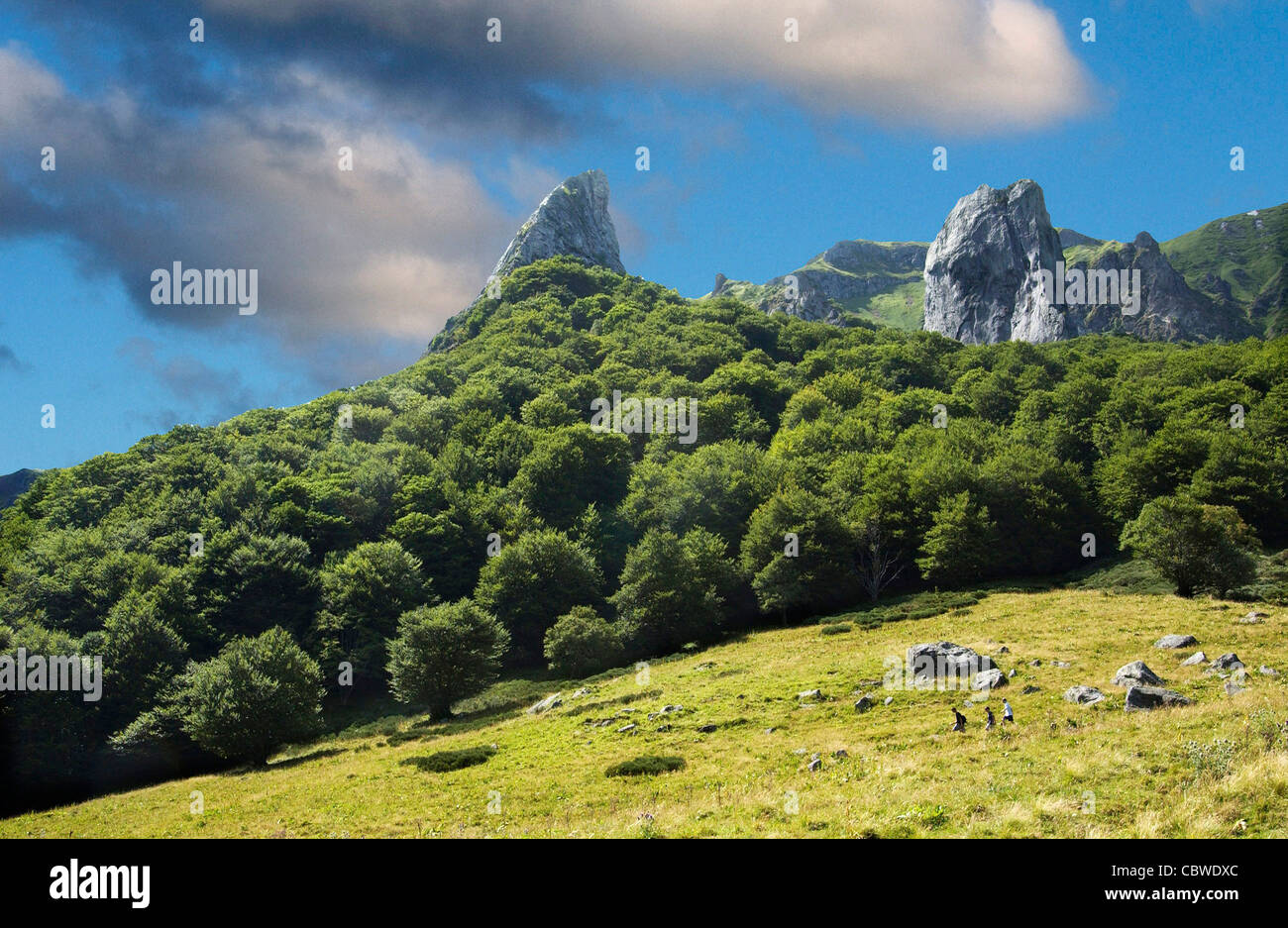 La valle di Chaudefour in primavera. Puy de Dome. Auvergne. Francia Foto Stock