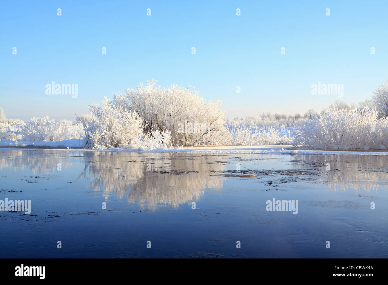 Boccole in neve sul fiume costa Foto Stock