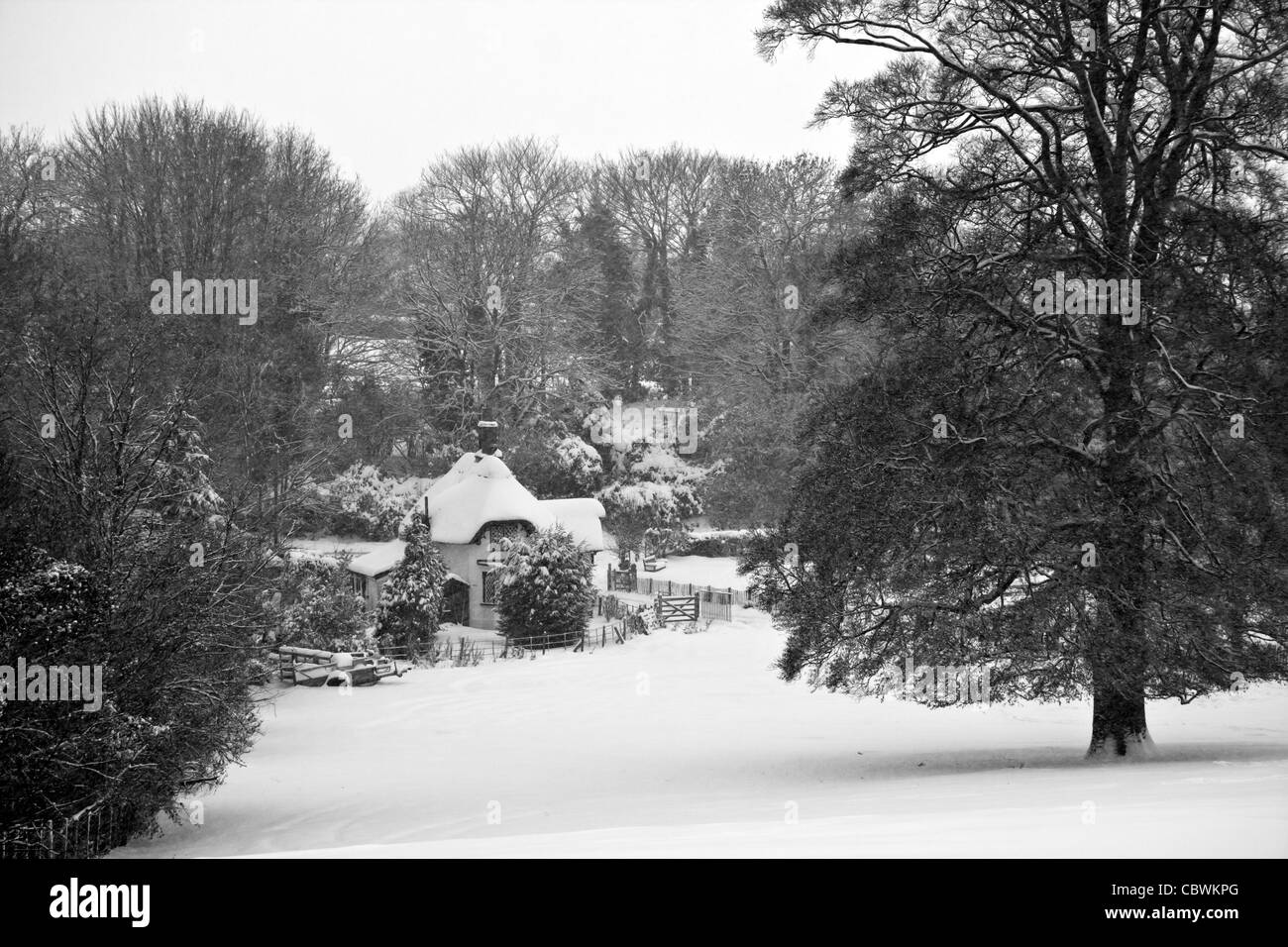 Paesaggio naturale di inverni un giorno Foto Stock