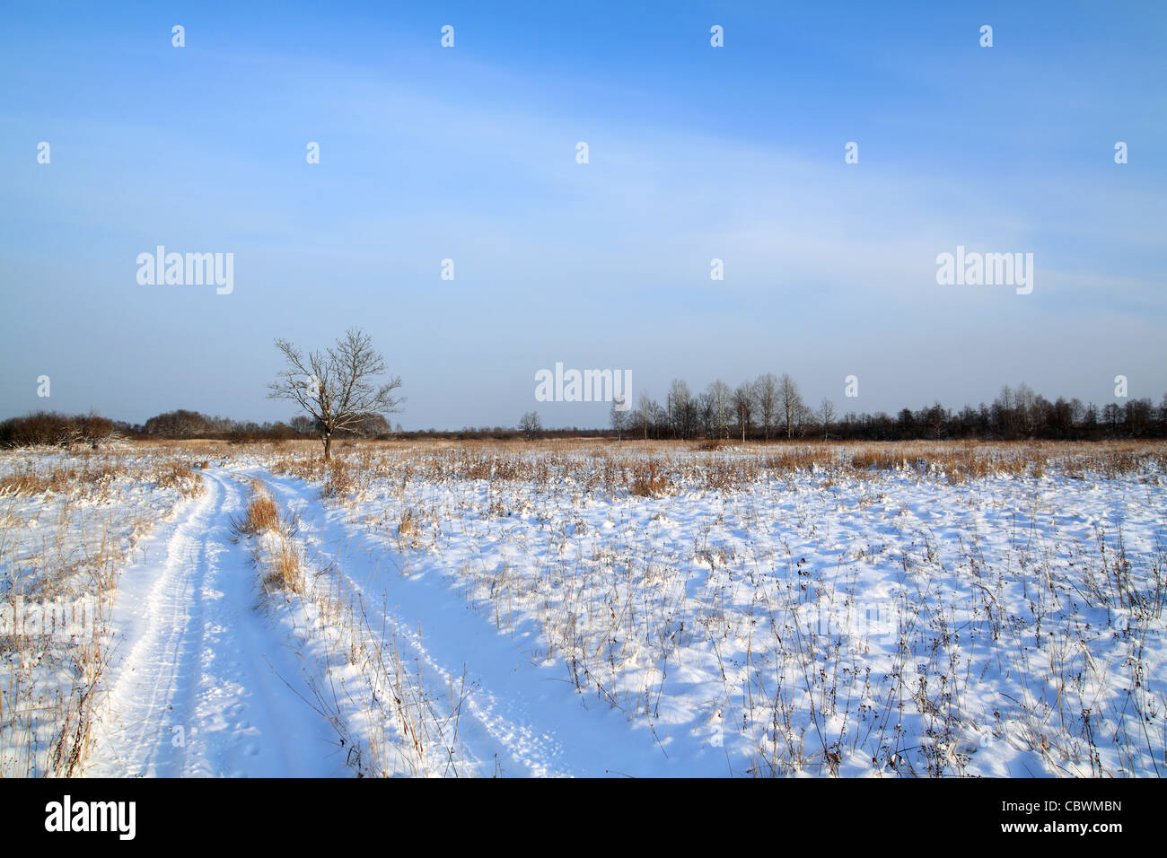 In inverno la strada attraverso il campo Foto Stock