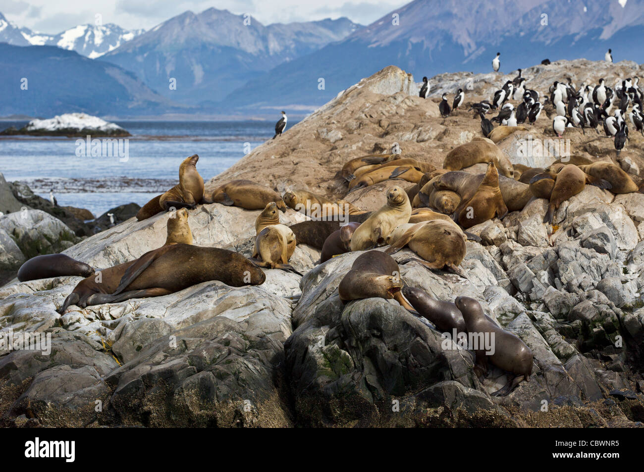 Canale di Beagle, ARGENTINA Foto Stock
