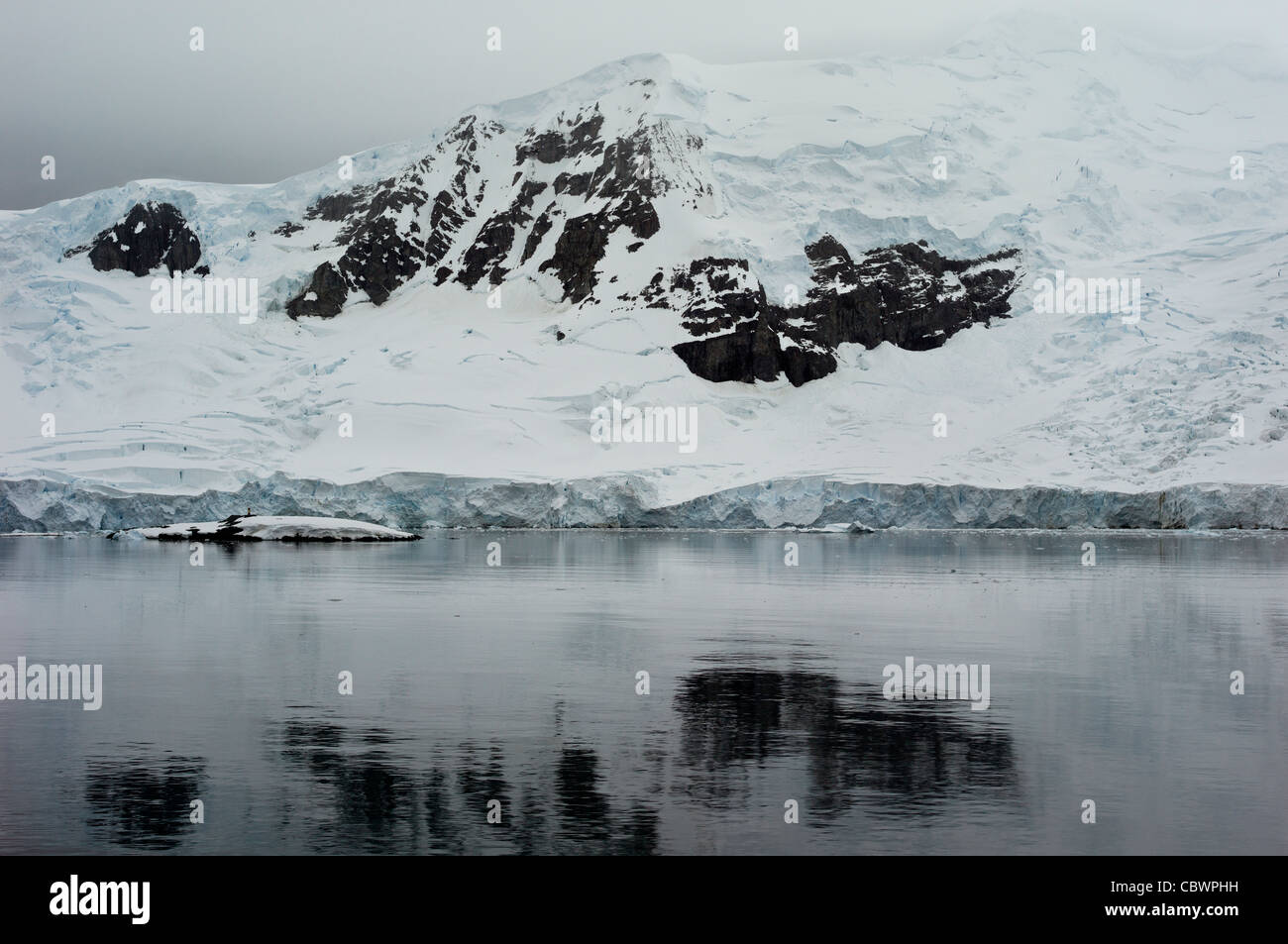 HALF MOON ISLAND, Antartide Foto Stock