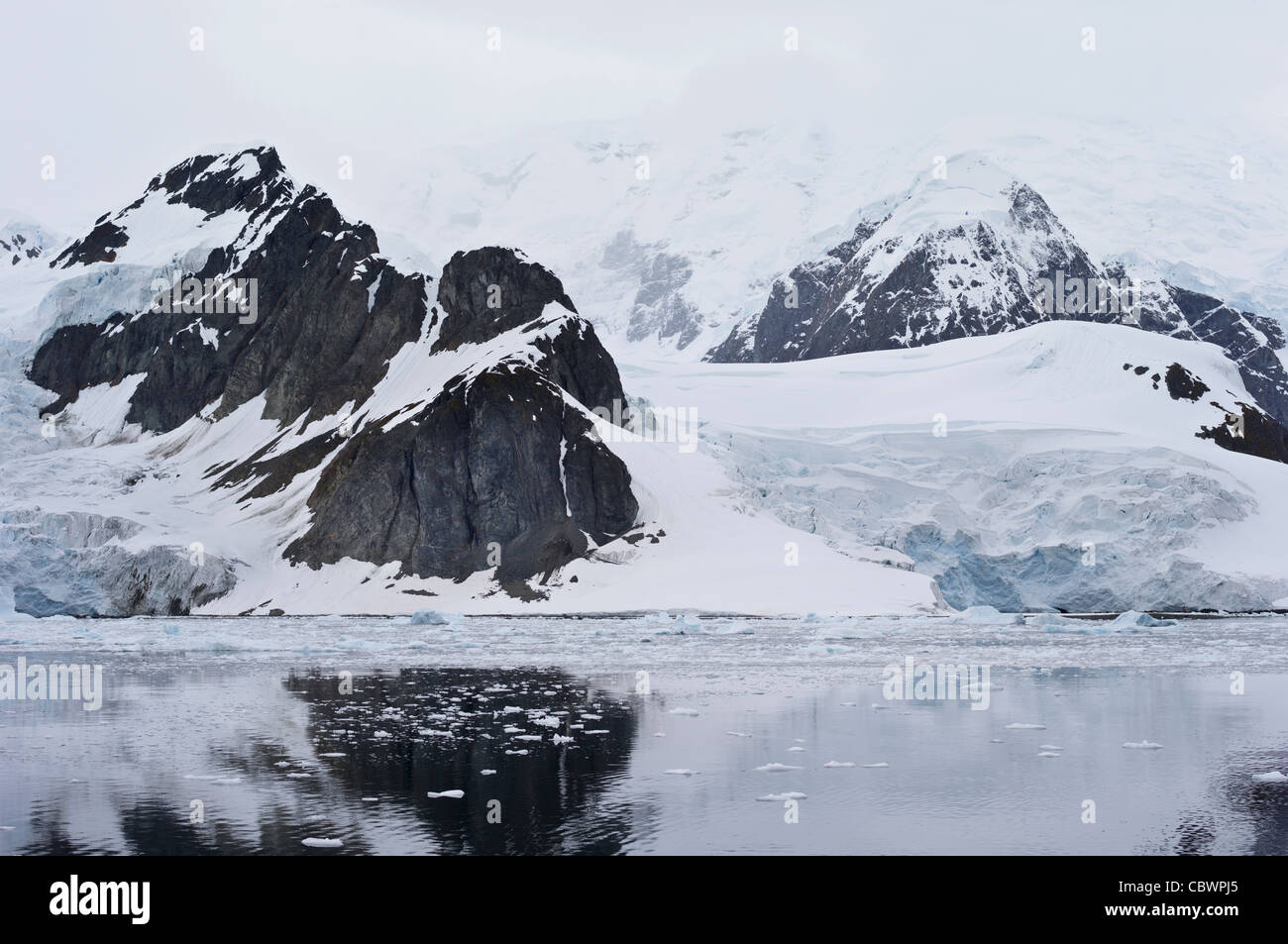 HALF MOON ISLAND, Antartide Foto Stock