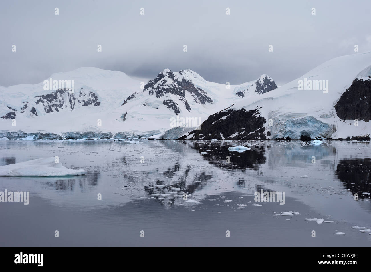 HALF MOON ISLAND, Antartide Foto Stock