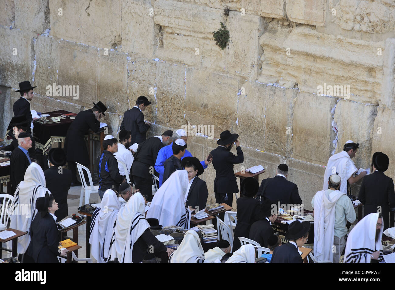 Gli ebrei ortodossi in preghiera al Muro Occidentale di Gerusalemme Foto Stock