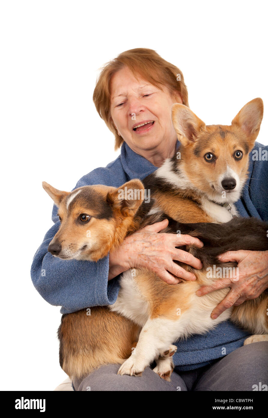 Senior donna holding attiva due cuccioli di corgi sul suo giri Foto Stock
