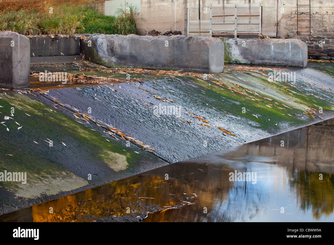 Vecchia Diga di deviazione con il Fosso di Irrigazione ingresso - Cache la Poudre River in Fort Collins, Colorado, scenario autunnale con acqua bassa Foto Stock
