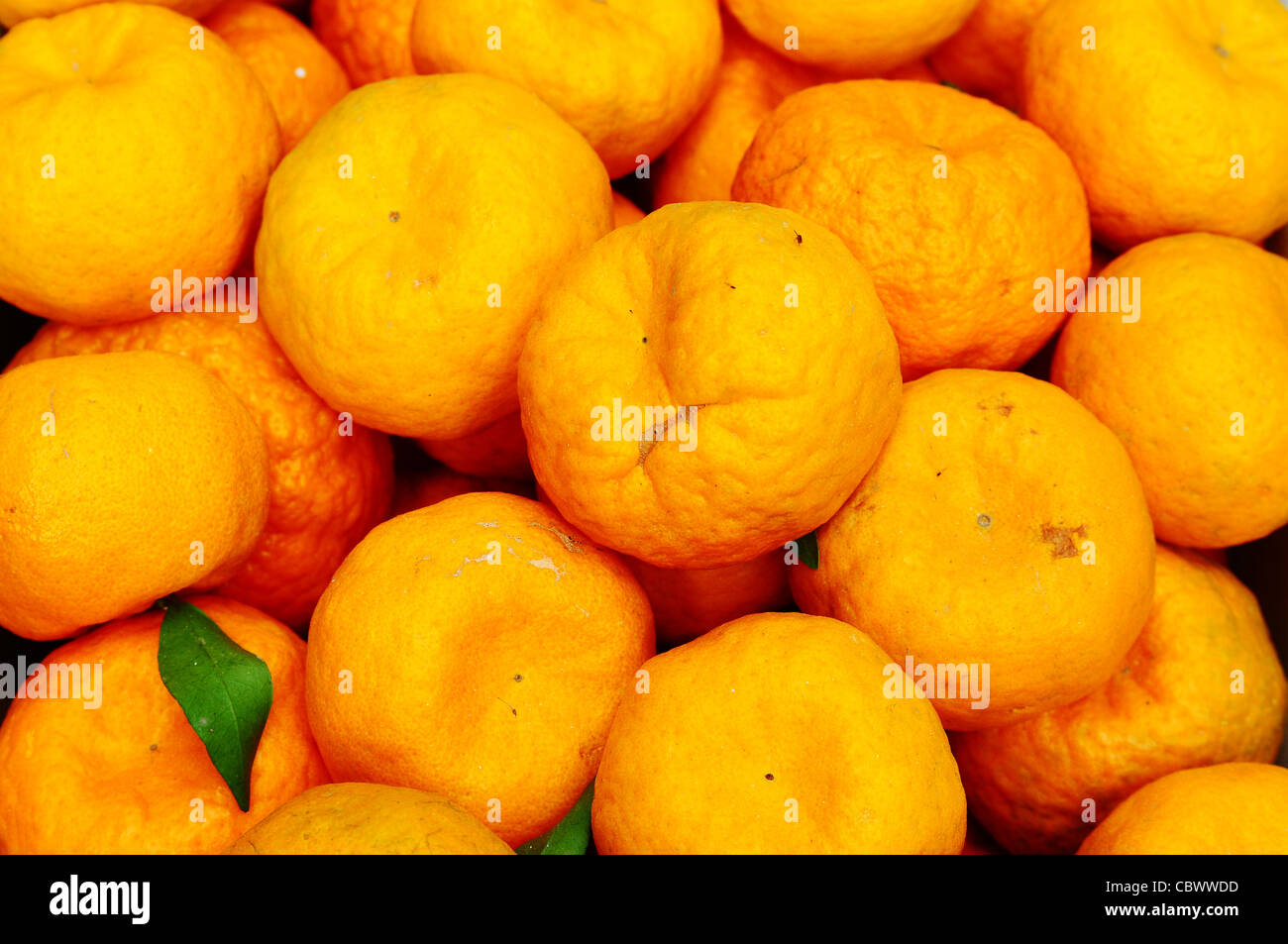 Arancione di frutta succosa agrumi vitamina cibo organico mature succo sano gruppo fresco colore vegetariano dolci salute tropicale sour Foto Stock