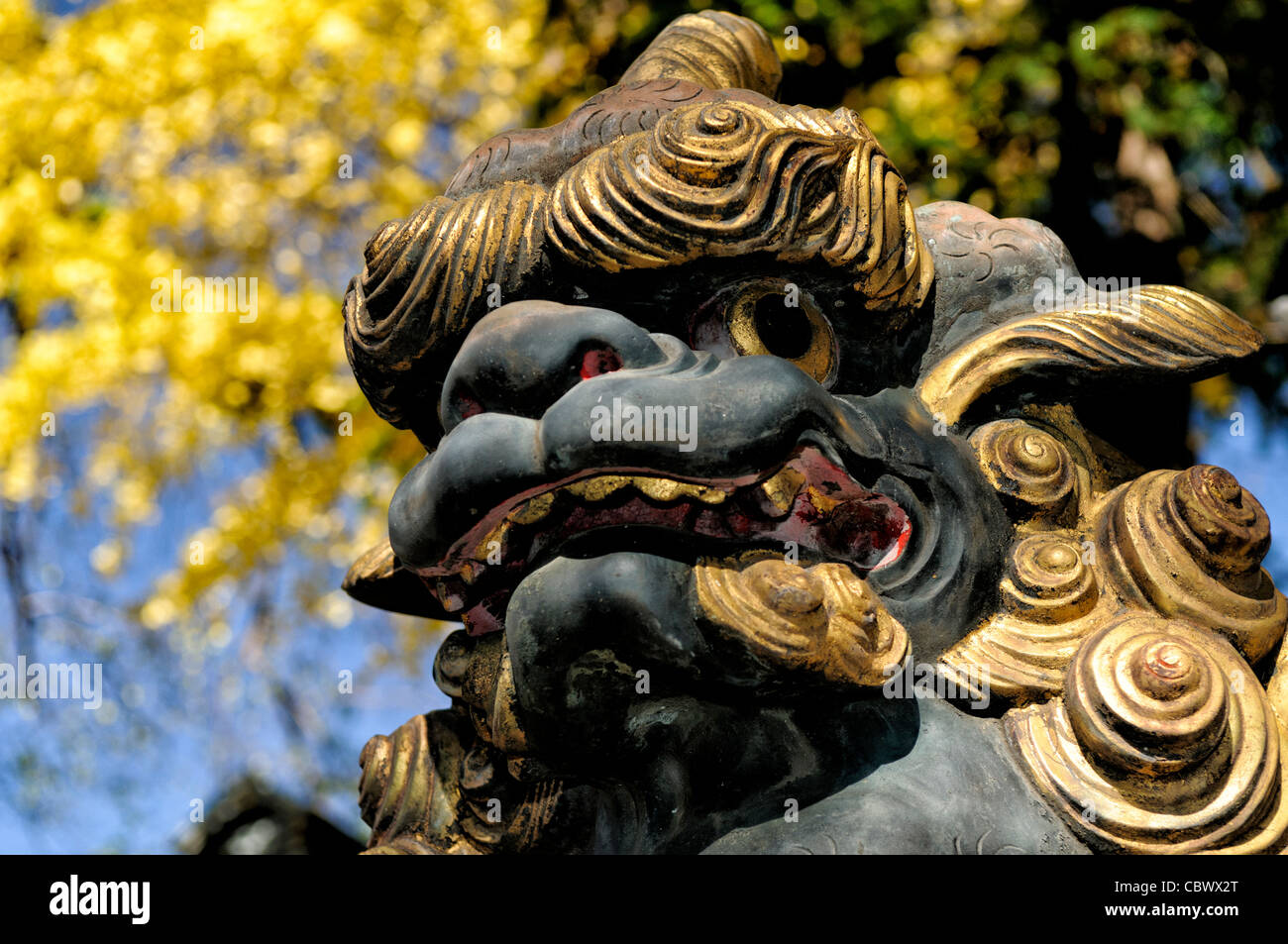 Statua del Leone di pietra del tempio Naritasan Shinshoji Narita Giappone // NARITA, Giappone - una statua del leone in pietra dipinta intagliata intricatamente funge da guardiano del tempio al tempio Naritasan Shinshoji, noto anche come Shinsho-ji. La figura ornata rappresenta una delle divinità protettive comunemente presenti agli ingressi del tempio buddista, che mostra l'arte religiosa tradizionale giapponese. Il tempio Naritasan Shinshoji è un importante complesso buddista Shingon fondato nel 940 d.C. Il tempio è dedicato a Fudo Myoo e attira milioni di visitatori ogni anno per le celebrazioni di Capodanno e altre osservanze religiose. Posizione Foto Stock