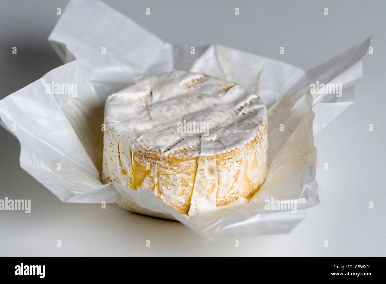 Formaggio Camembert Foto Stock
