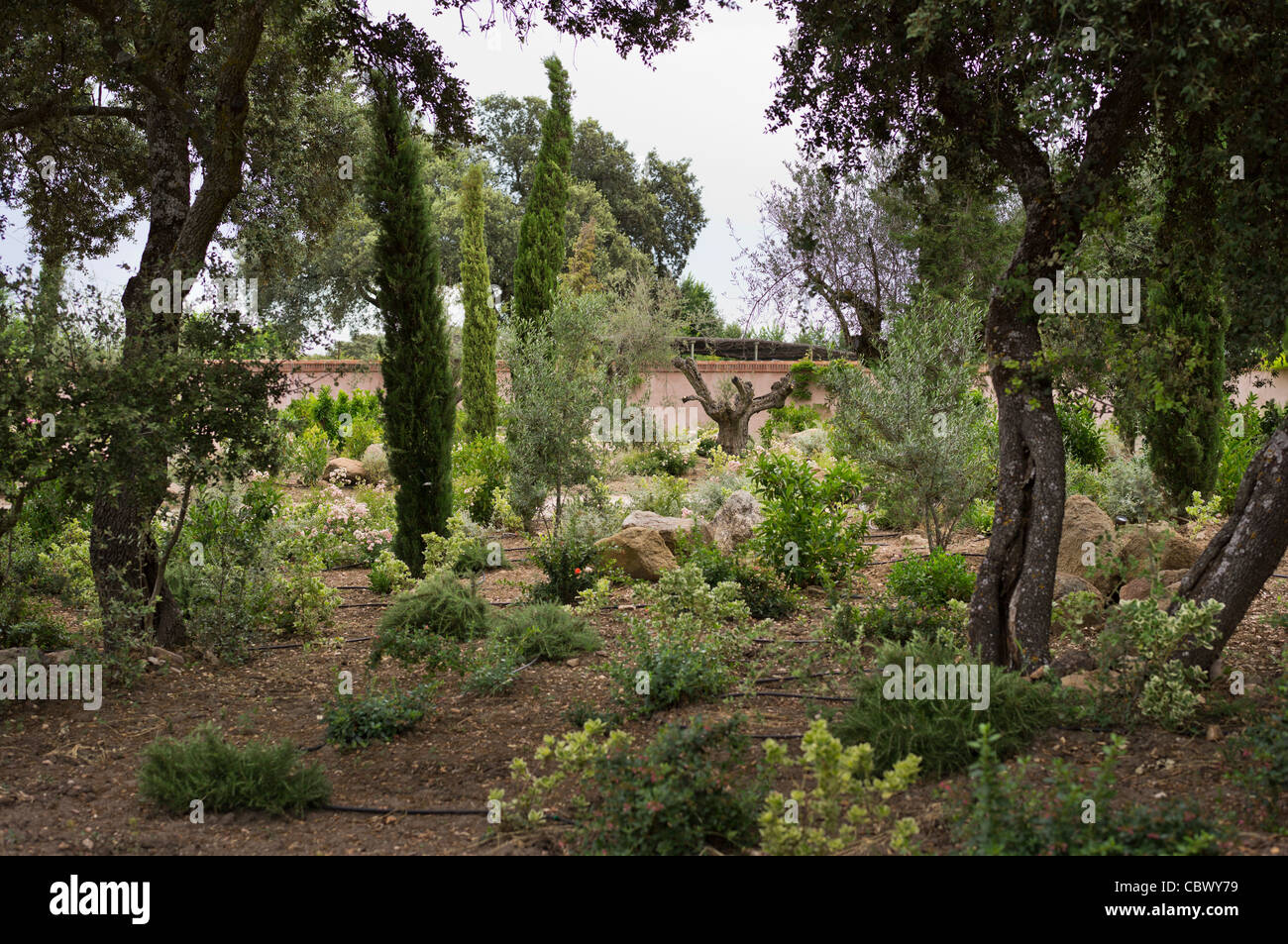 Paesaggio OROPESA CASTILLA-LA MANCHA SPAGNA Foto Stock