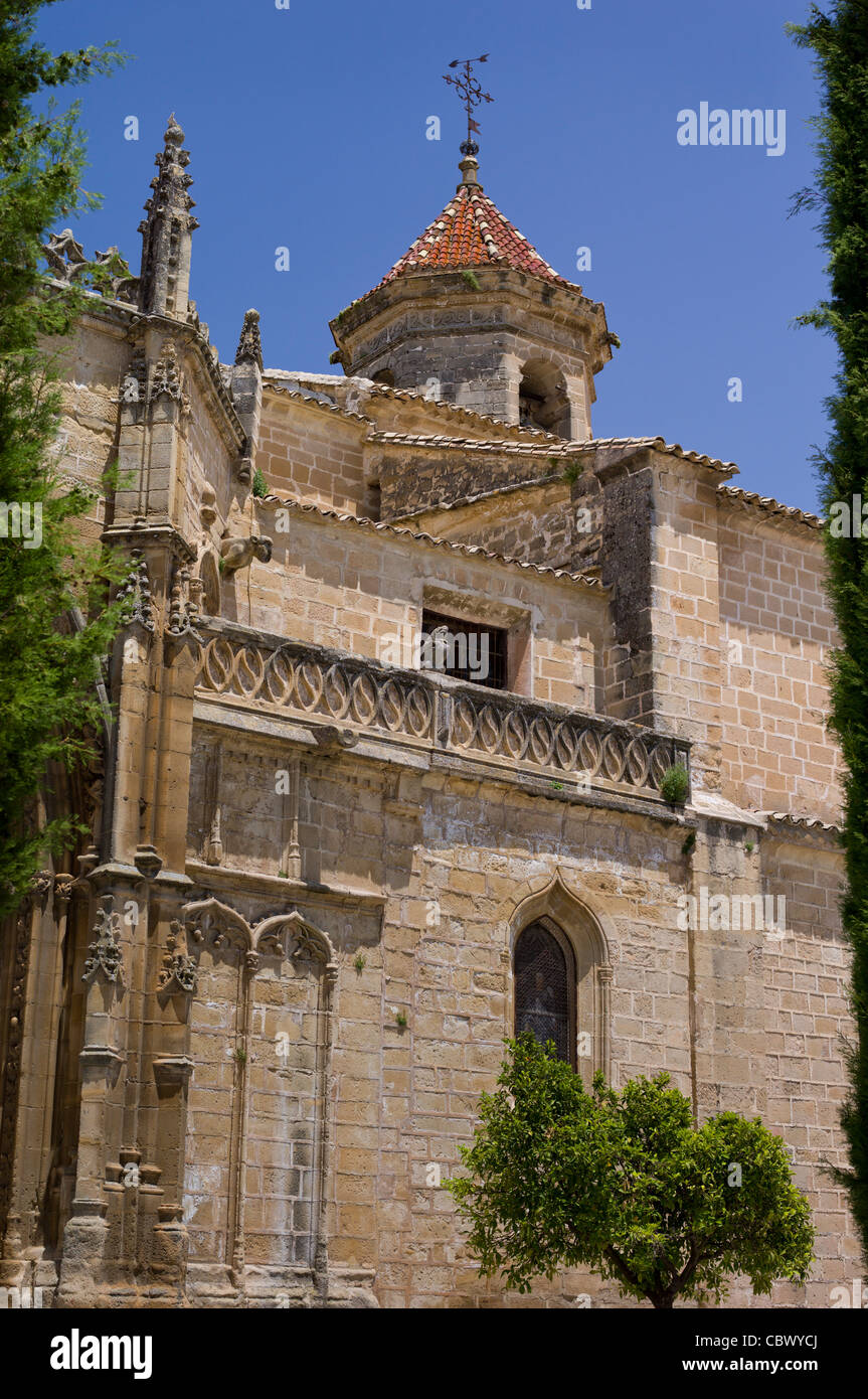 Cattedrale a Ubeda Andalusia Spagna Foto Stock