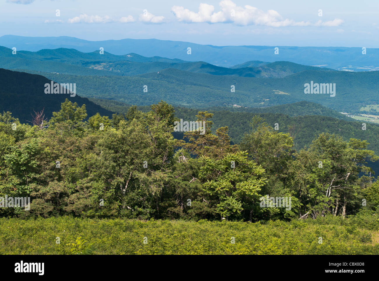 Paesaggio Shenandoah Valley Virginia STATI UNITI D'AMERICA Foto Stock