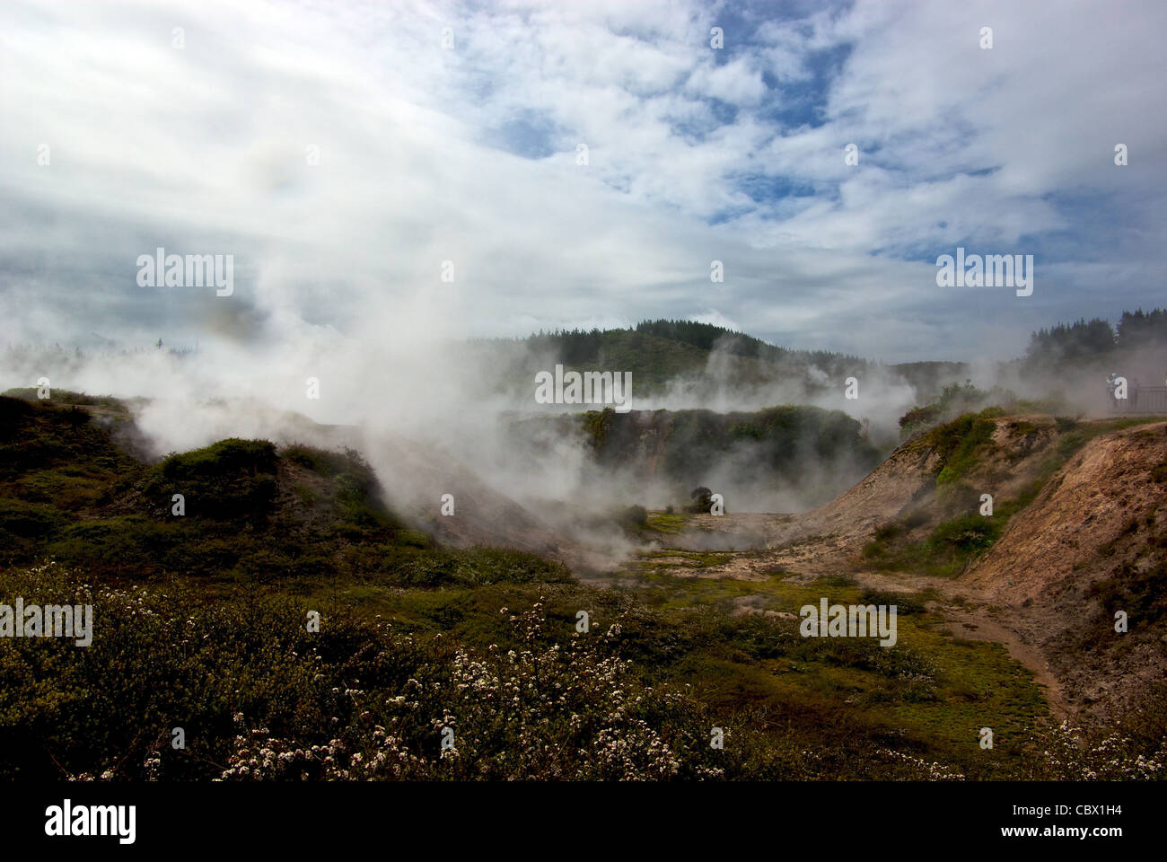 Crateri della luna vapore geotermico sfiati piscine di fango esplosione Crater Lake Taupo, Nuova Zelanda Foto Stock