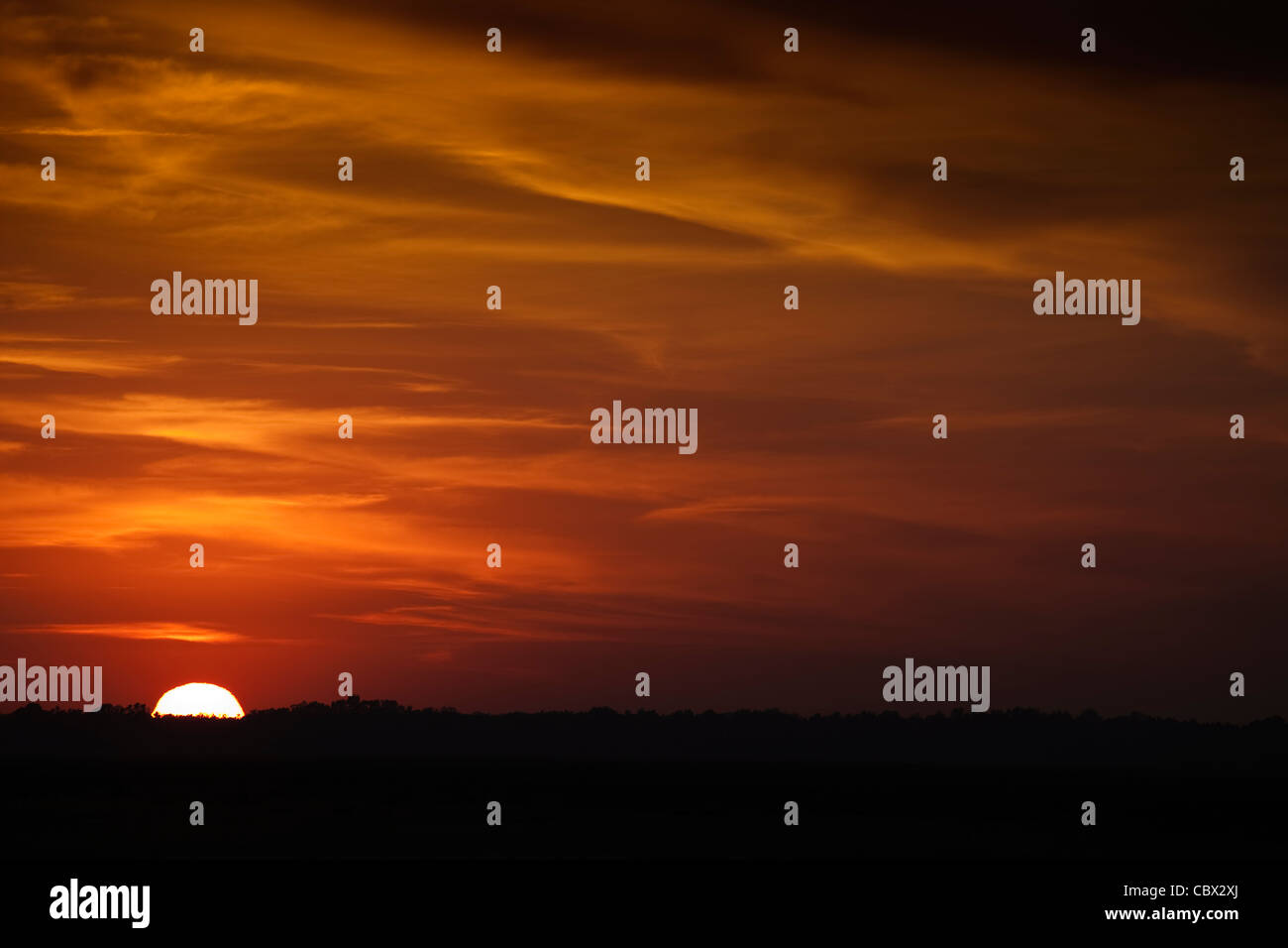 Arancione tramonto in un giorno nuvoloso su una foresta di alberi Foto Stock