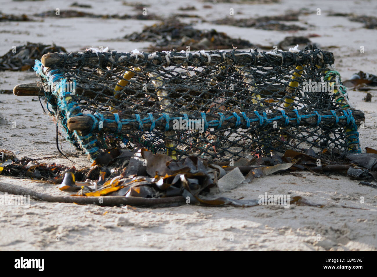 Lobster Pot Foto Stock