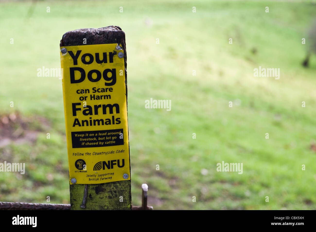 Cane segno di avvertimento sul sentiero in campagna a Hay-on-Wye Powys Wales UK Foto Stock