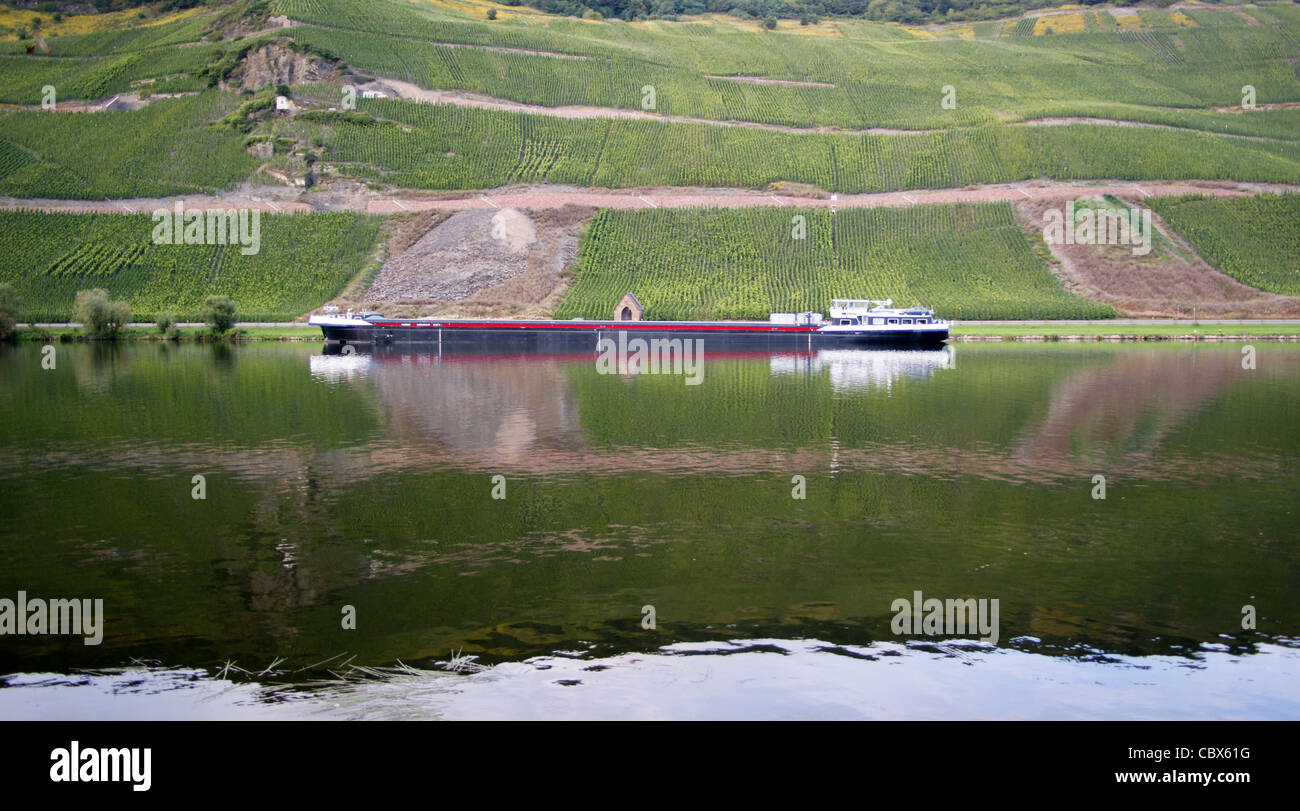 Un cargo nave da carico, passa un vigneto, sul fiume Mosella, Renania-Palatinato, Germania Foto Stock