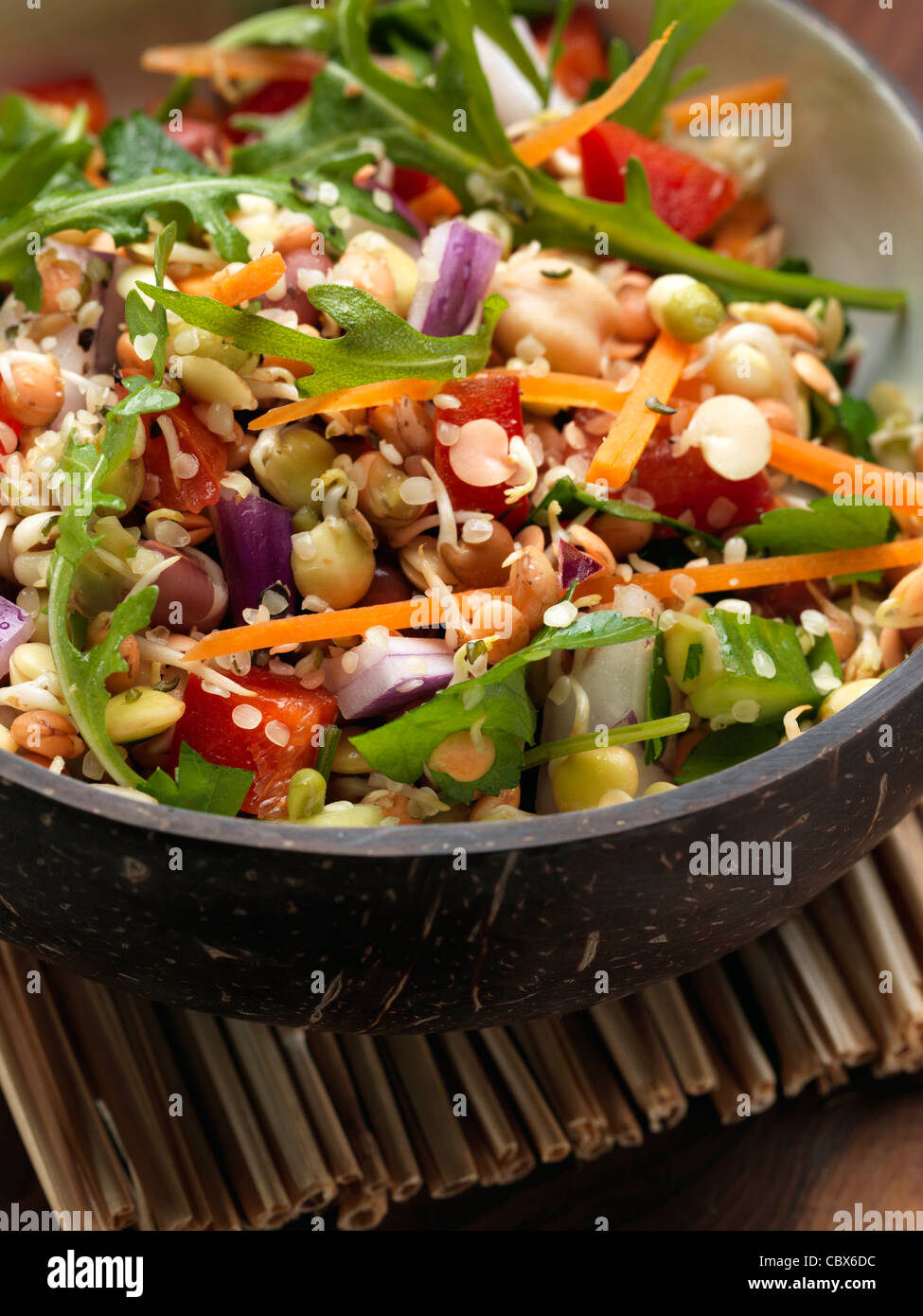 La germogliazione insalata di fagioli Foto Stock