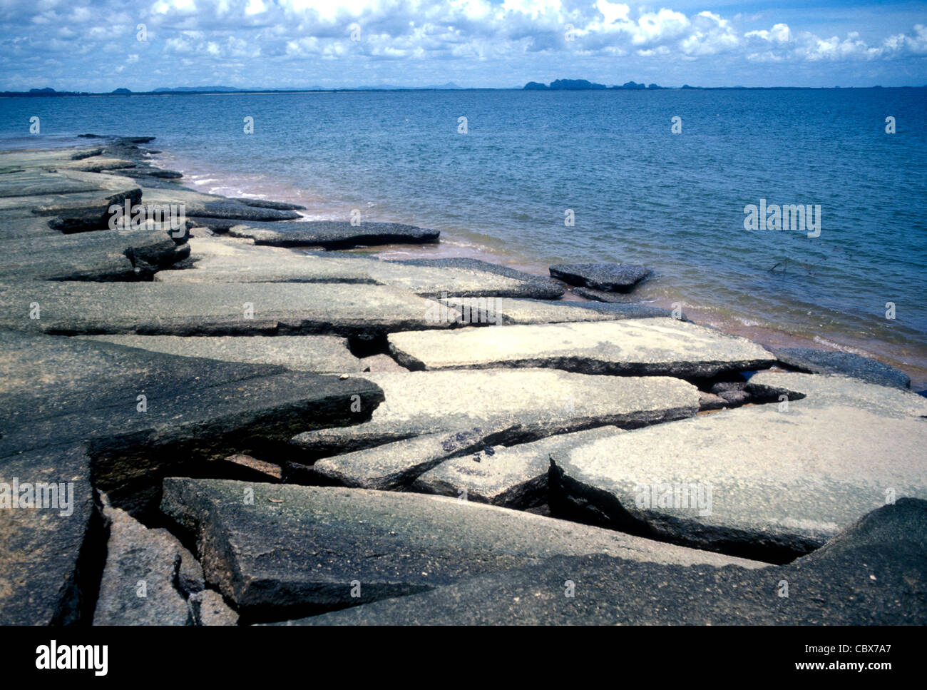 Guscio fossilizzato banche detto essere circa 40 milioni di anni a Krabi Thailandia Foto Stock