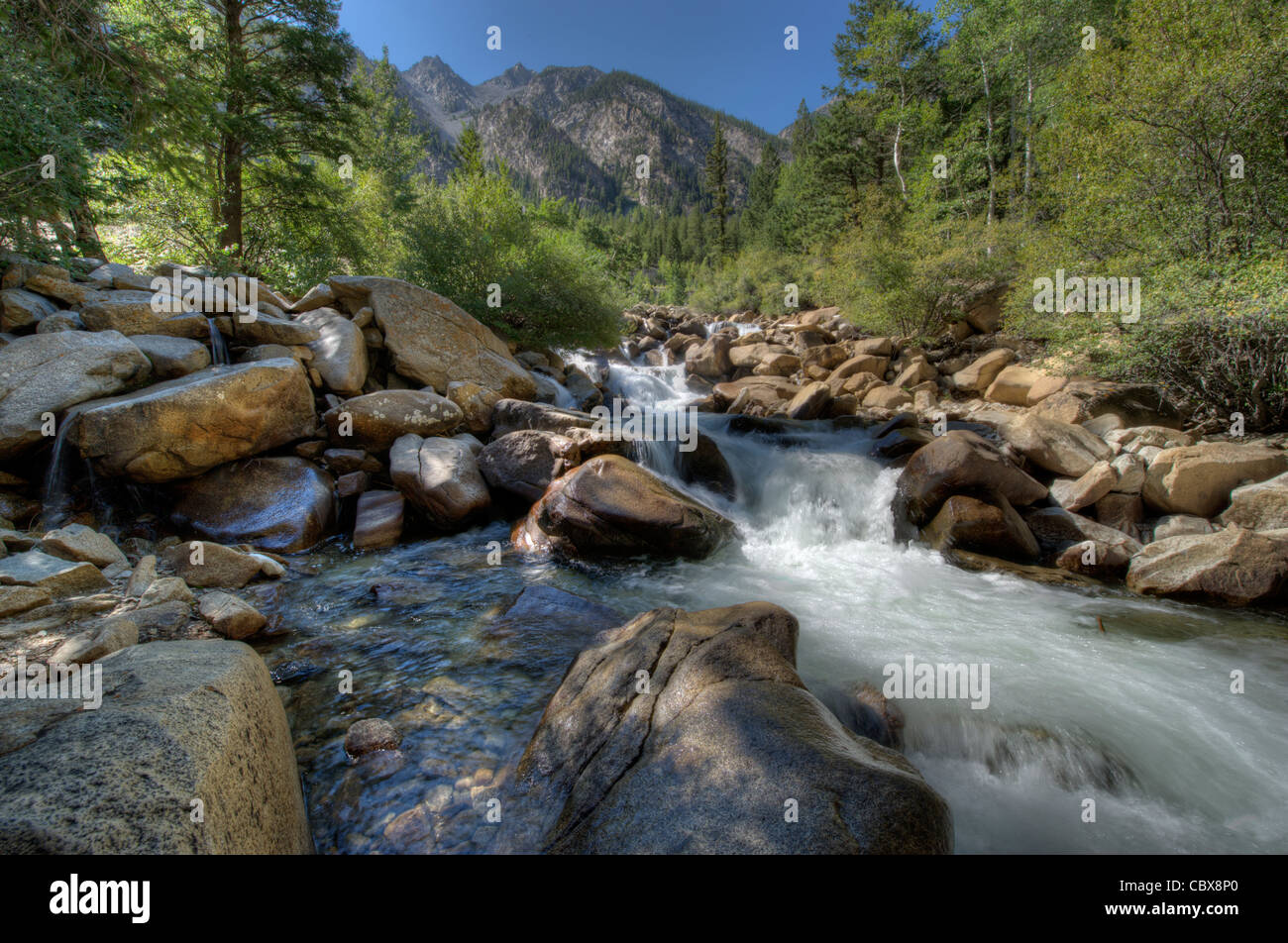 La cascata su Chalk Creek vicino a Mt. Princeton, San Isabel National Forest, Colorado. Foto Stock