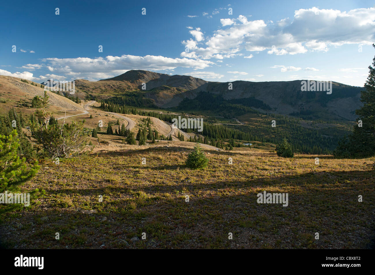 La strada sopra pioppi neri americani passano si snoda fino al top in questa vista sull'oceano pacifico del Continental Divide. Foto Stock