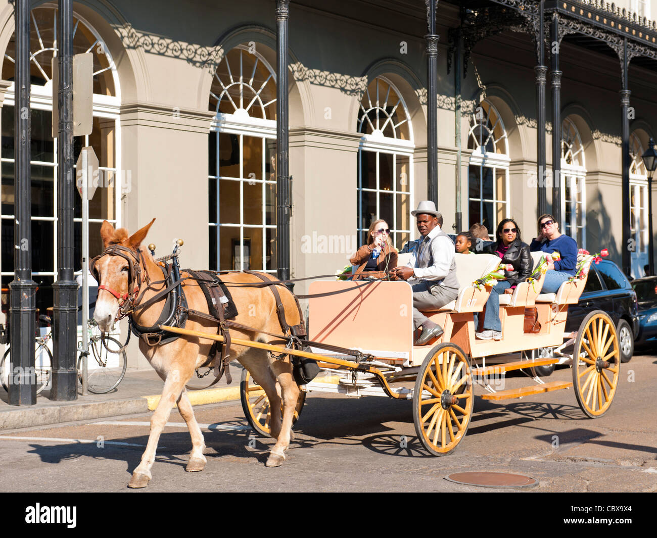 Carrozza a cavallo tour, New Orleans Foto Stock