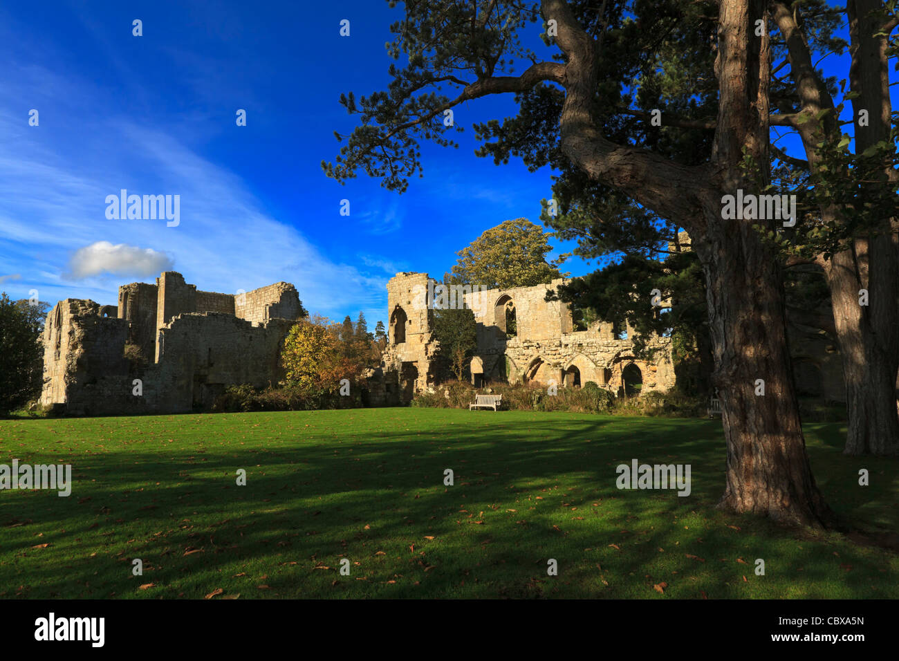 Abbazia di Jervaulx rovine nel Yorkshire Dales. Foto Stock
