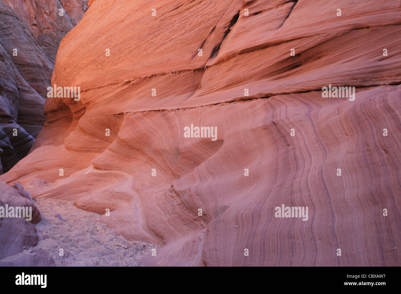 Slot di arenaria canyon mostra cross la biancheria per il letto e le curve di erosione Foto Stock