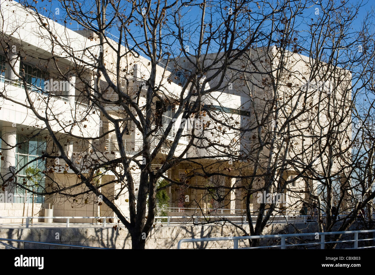 Il Getty Center visto attraverso gli alberi Foto Stock