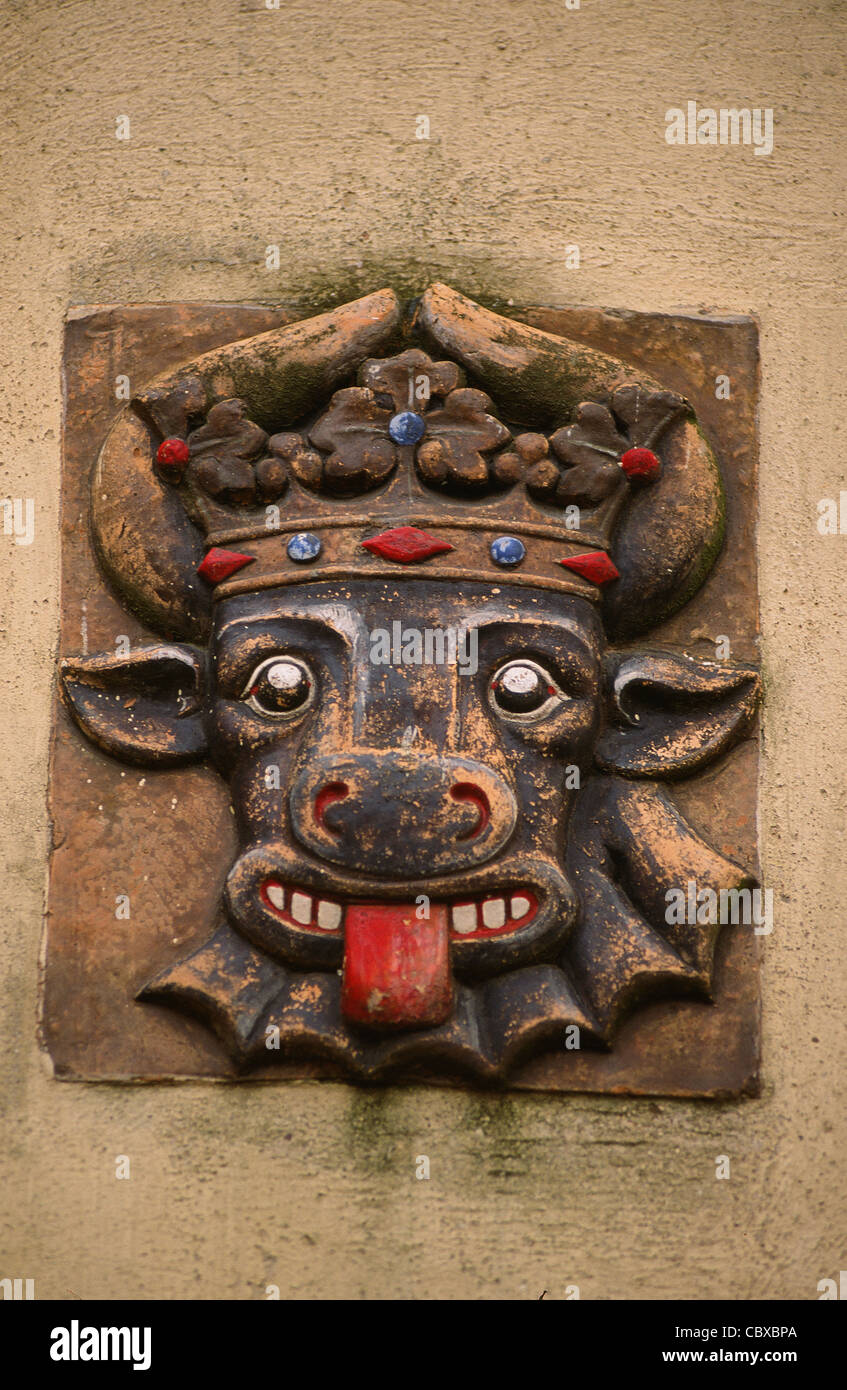 Mecklenburg's herald 'Ochsenkopf', ox-testa, visto sulla facciata del castello di Stavenhagen a Stavenhagen, Mecklenburg Foto Stock
