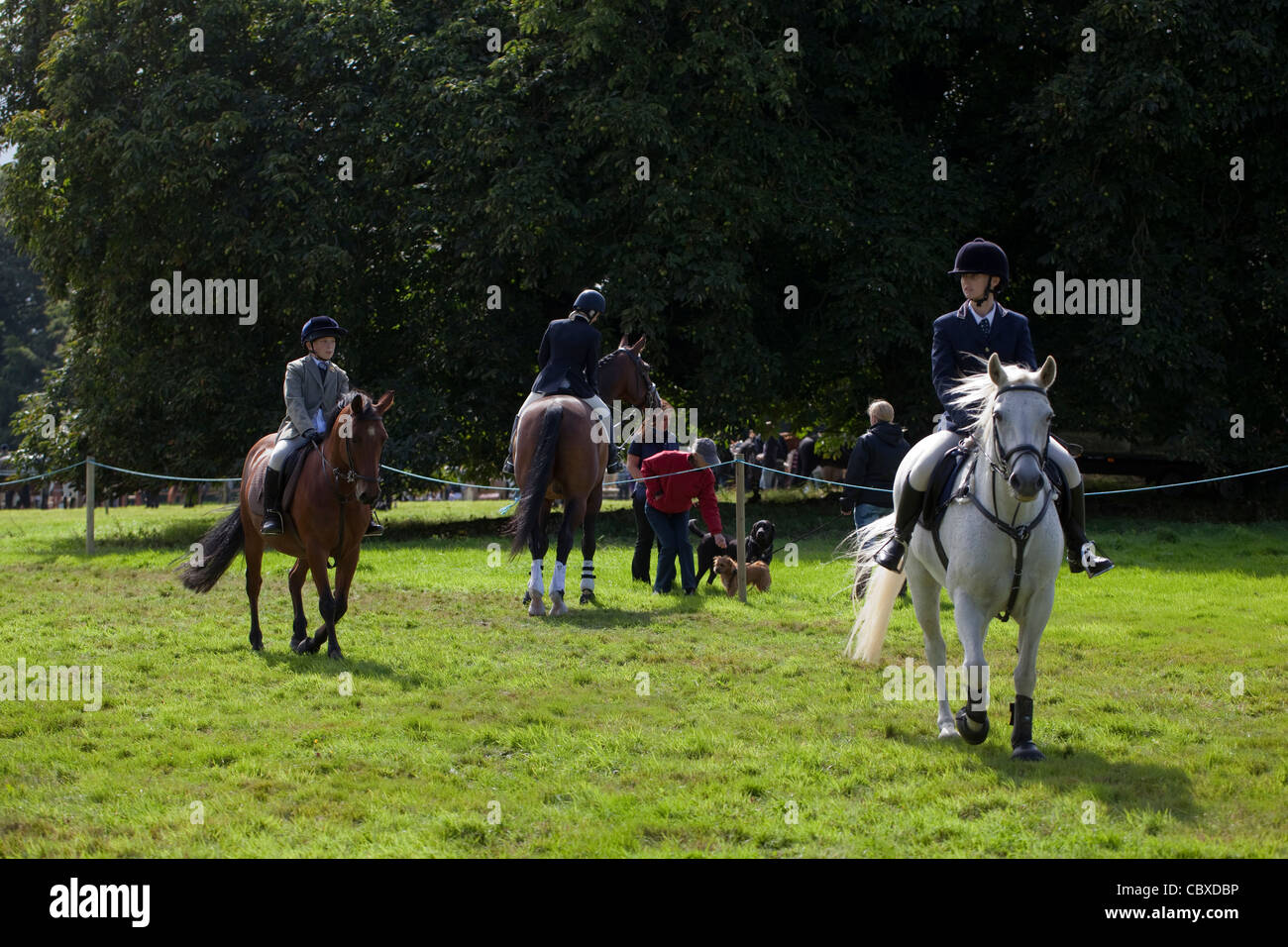 Aylsham spettacolo agricolo, Norfolk. Agosto lunedì festivo. Giovani piloti il riscaldamento prima dell'evento. Foto Stock