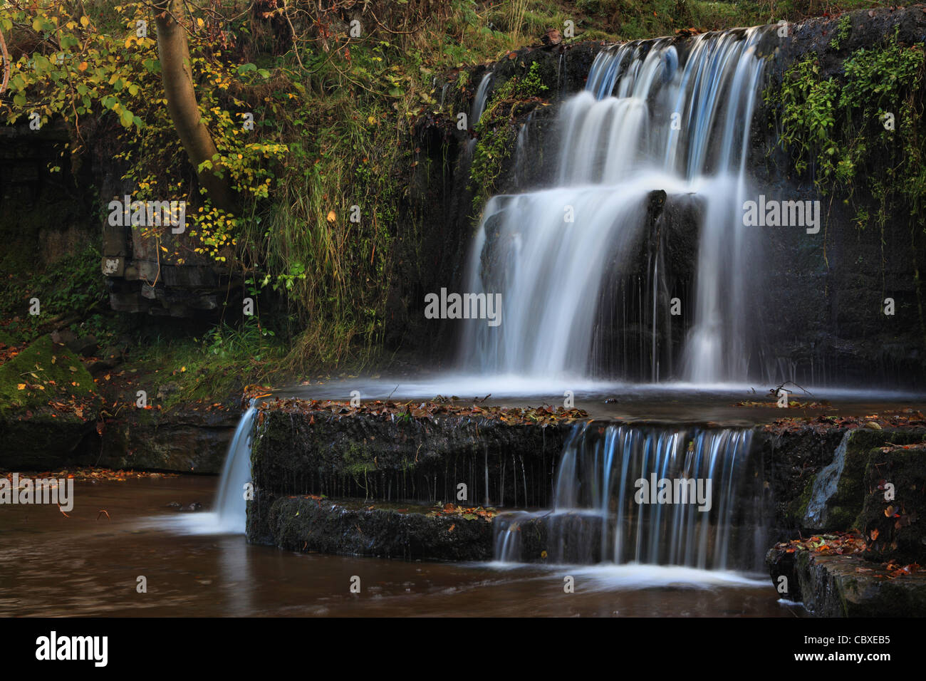 Una piccola cascata sul fiume Nidd vicino Lofthouse in Nidderdale, nello Yorkshire, Inghilterra Foto Stock