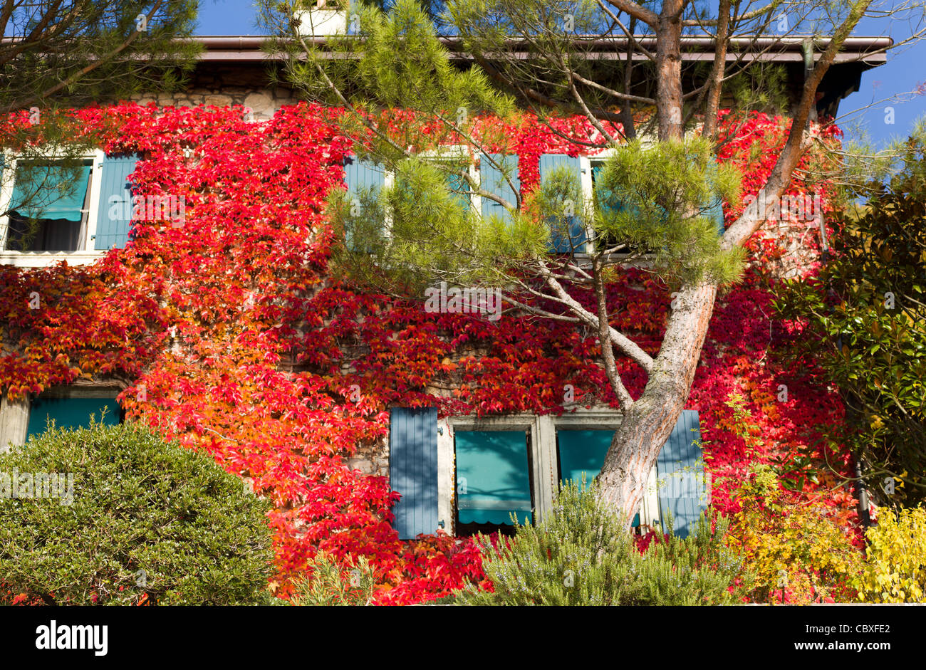 Mediterraneo cercando casa ricoperta con colorate di rosso splendente di foglie di vite Foto Stock
