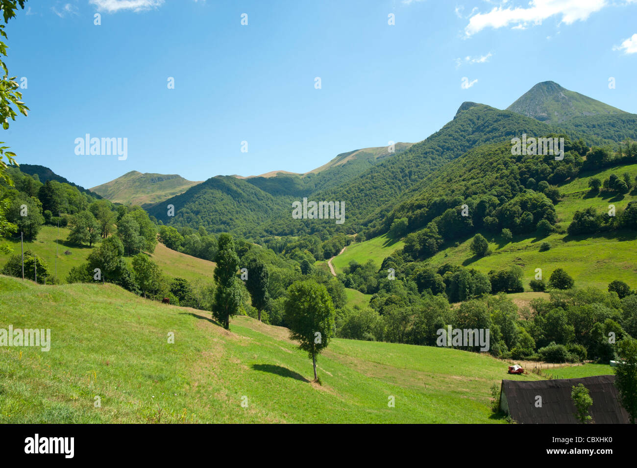 Il verde delle colline e delle montagne in Auvergne, nella Francia centrale Foto Stock