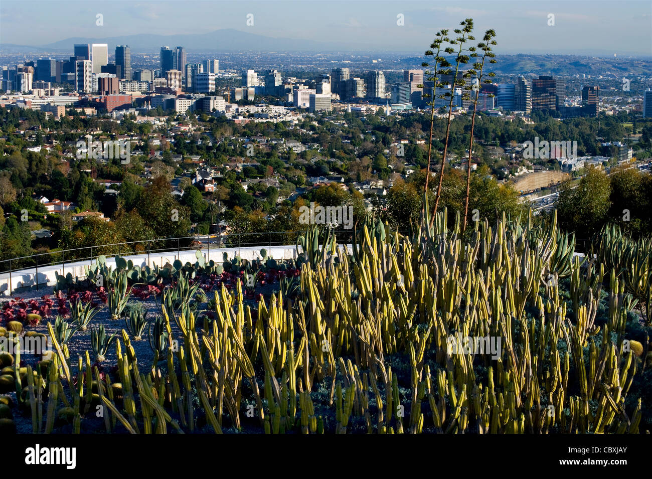 Il Giardino dei Cactus presso il Getty Center di Los Angeles Foto Stock