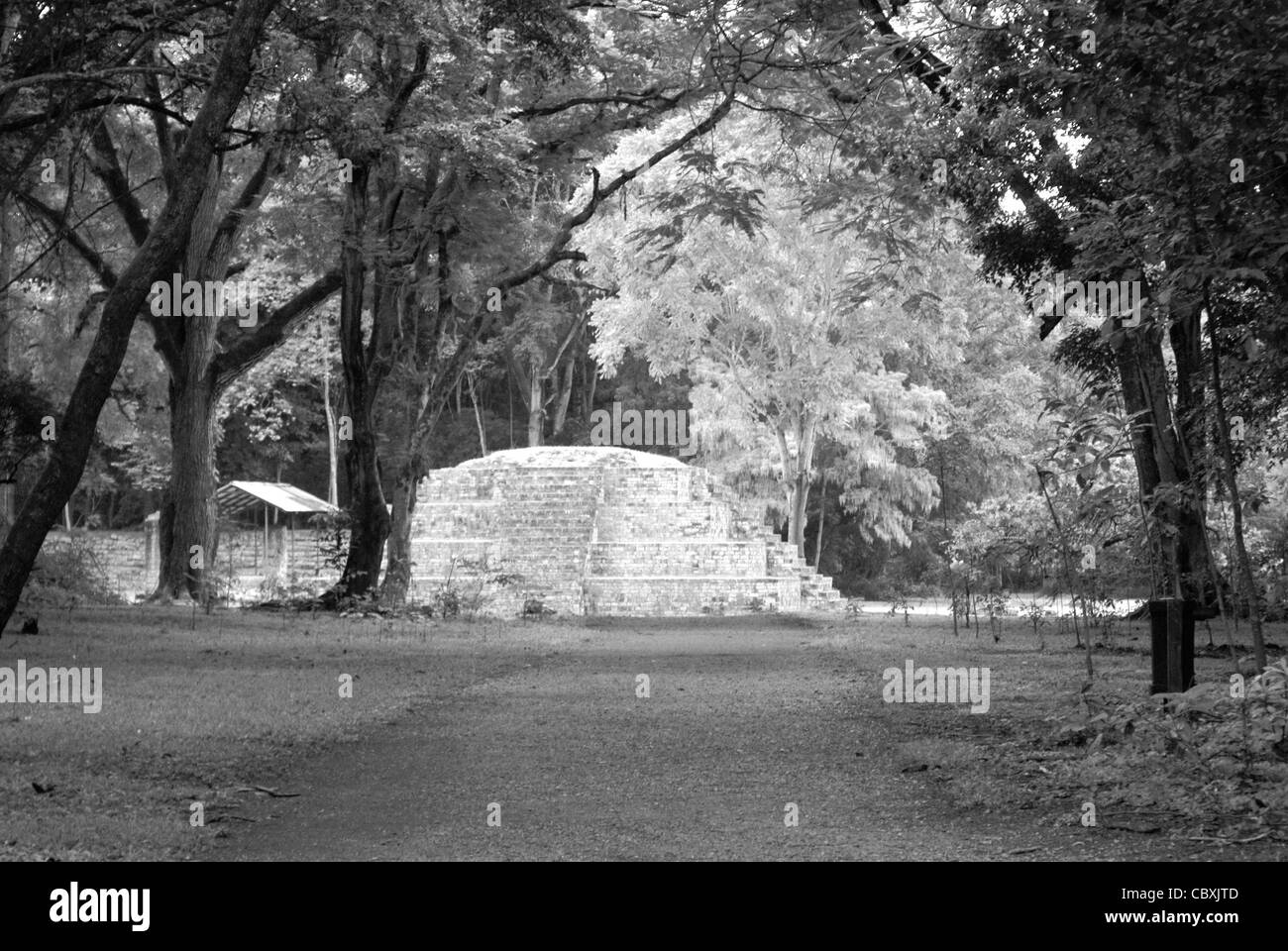 Maya di strada o sacbe che conduce alle rovine di Copan, Honduras. Copan è un sito Patrimonio Mondiale dell'UNESCO.... Foto Stock