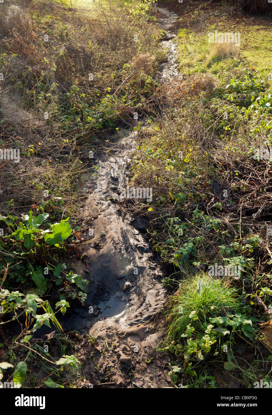 Oltre a destra e la siccità con conseguente asciugò il letto del fiume Misbourne Chalfont St Peter Buckinghamshire REGNO UNITO Foto Stock