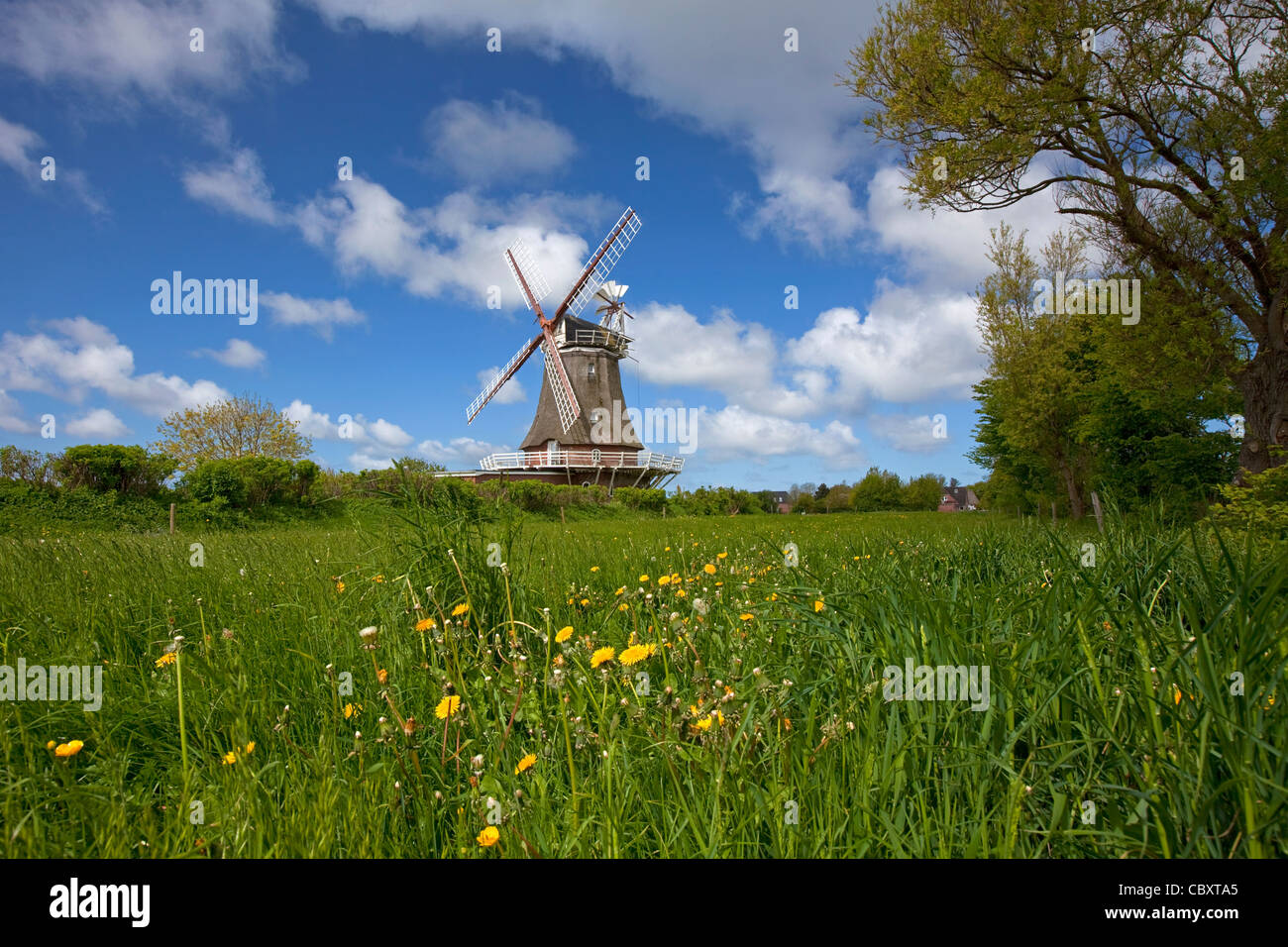 Mulino a vento in Oldsum sull isola di Föhr, Frisia settentrionale, Germania Foto Stock