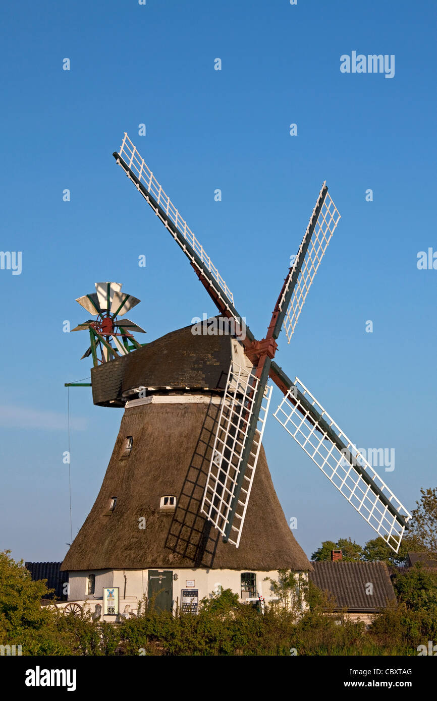 Mulino a vento in Wrixum sull isola di Föhr, Frisia settentrionale, Germania Foto Stock