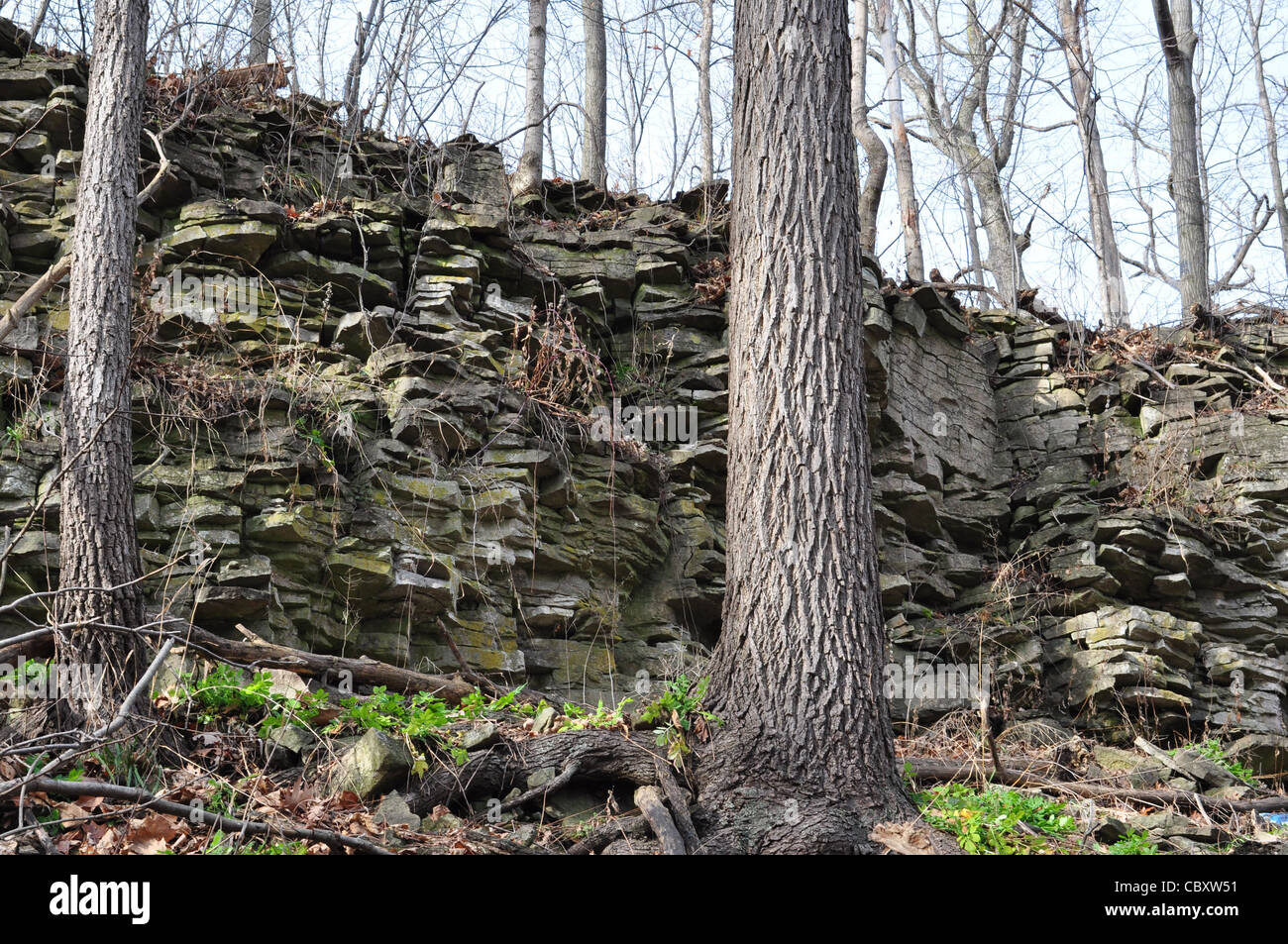 Scarpata del Niagara, Ontario, Canada Foto Stock