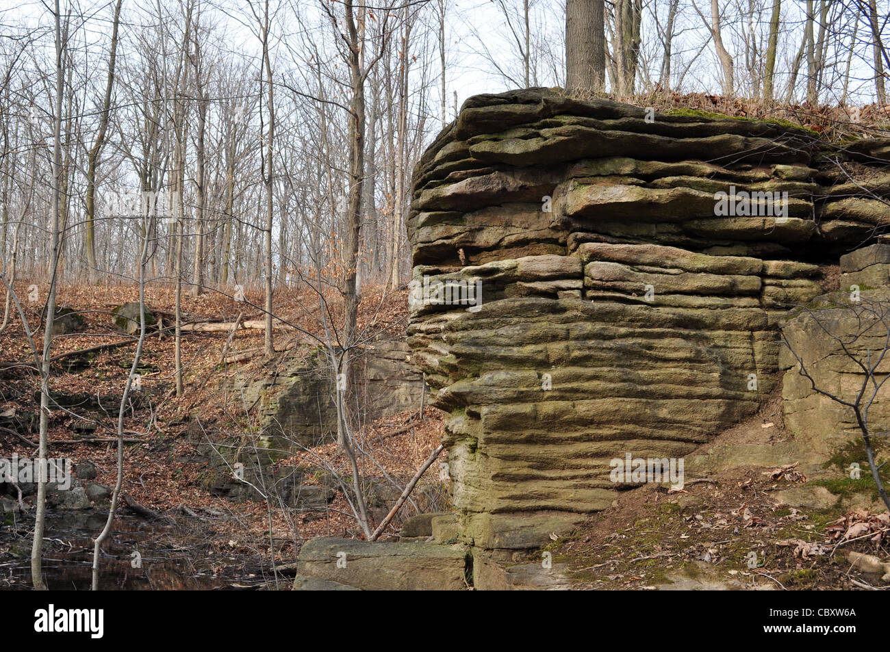 Scarpata del Niagara, Ontario, Canada Foto Stock