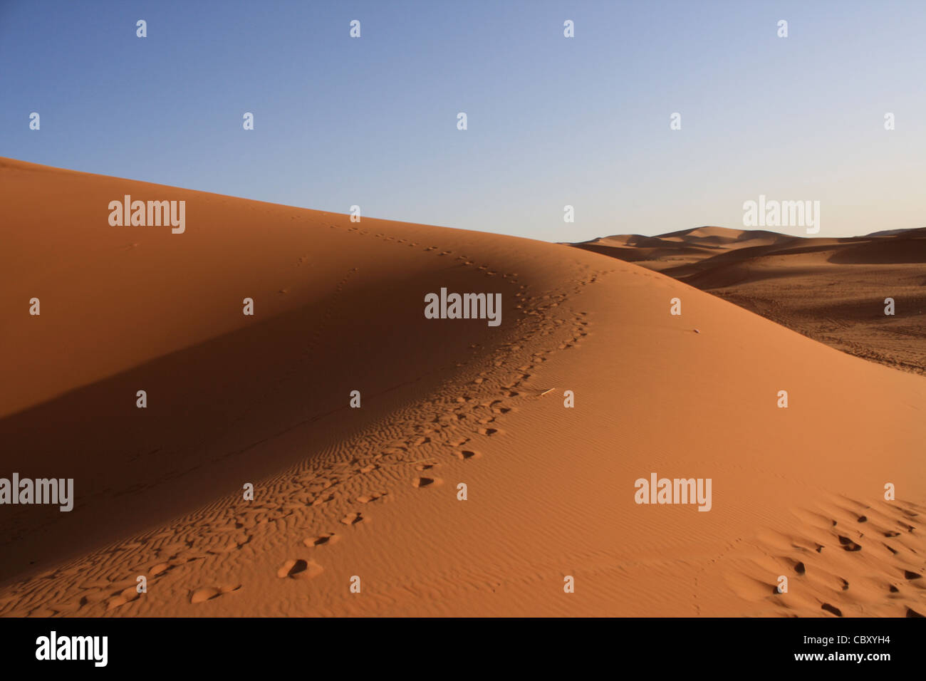 Erg Chebbi, Sahara, Marocco Foto Stock