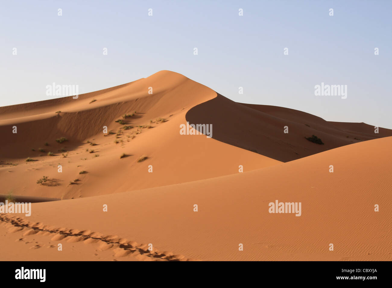 Erg Chebbi, Sahara, Marocco Foto Stock