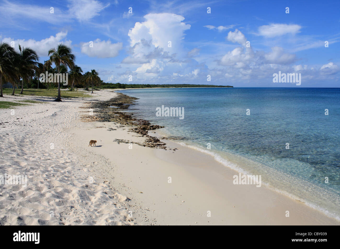 Un giorno perfetto in Maria La Gorda, Cuba Foto Stock